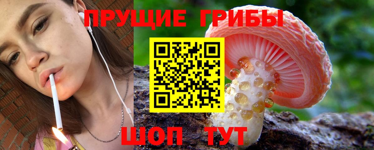 Скопин  Галлюциногенные грибы ЛСД  Вход с VPN 